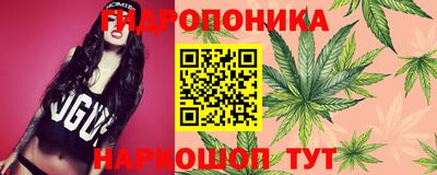 прущие крисы Севастополь